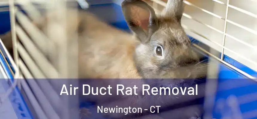  Air Duct Rat Removal Newington - CT