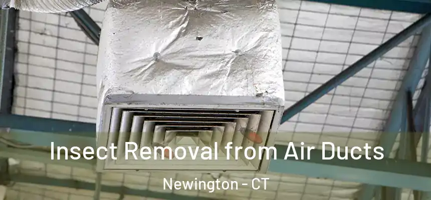  Insect Removal from Air Ducts Newington - CT