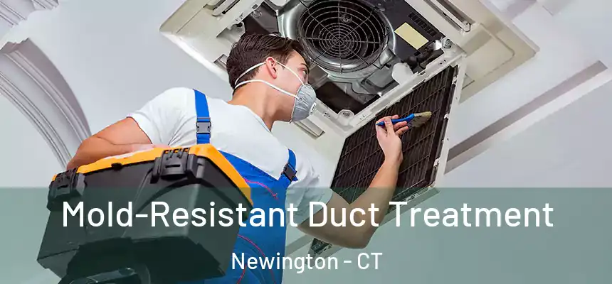  Mold-Resistant Duct Treatment Newington - CT