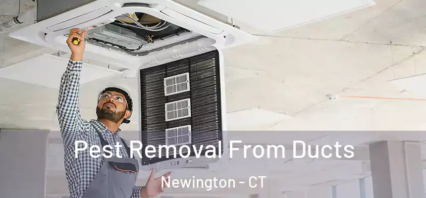 Pest Removal From Ducts Newington - CT