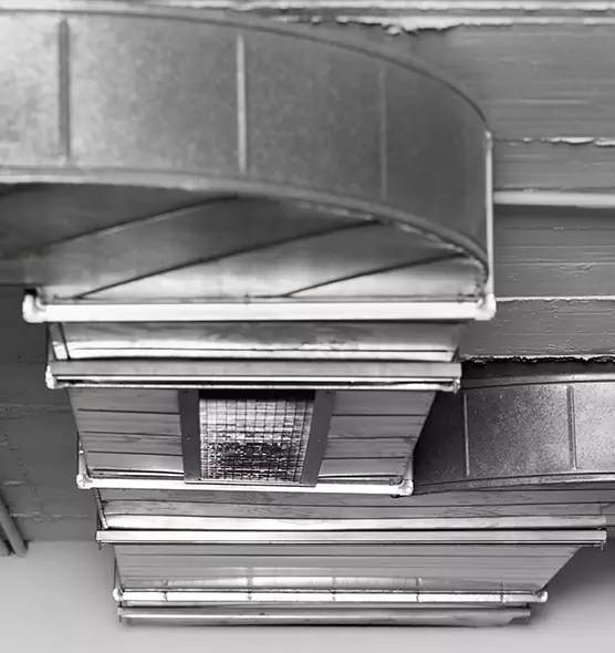 Professional Air Duct Pest Removal in Newington, CT