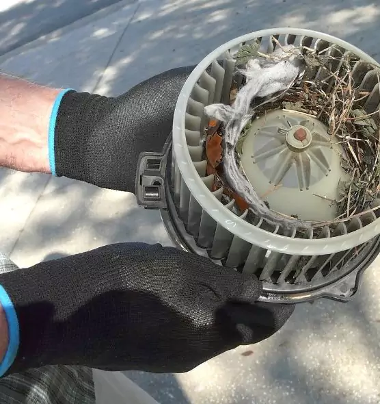 About Air Duct Rat Removal in Newington, CT